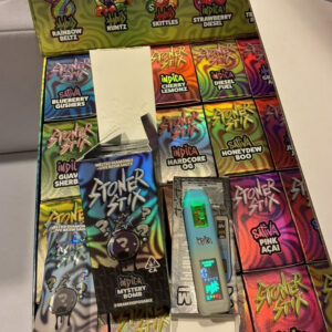 v3 stoner stix disposable + joint