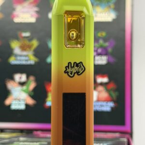 stoner stix world tour 2g disposable